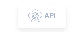 Secure API and system tool invocation