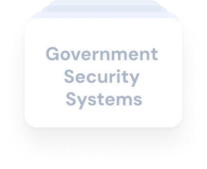 Government Security Systems