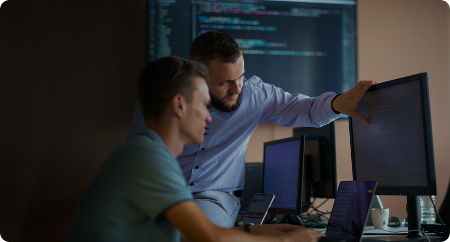 Long-term software development support