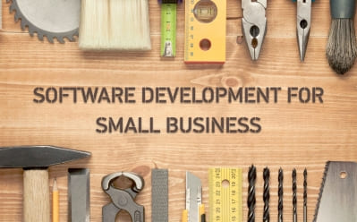 Software development for small business
