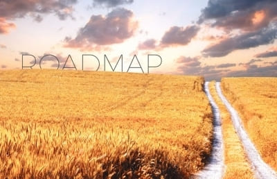 Roadmap to small business