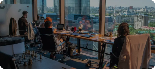 DDI company overview