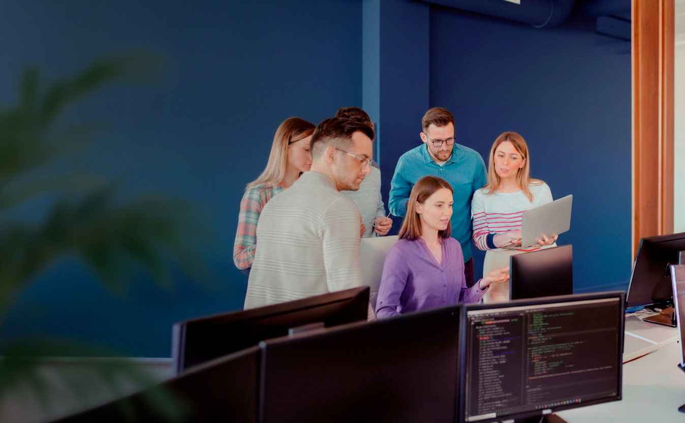 Long-term software development support